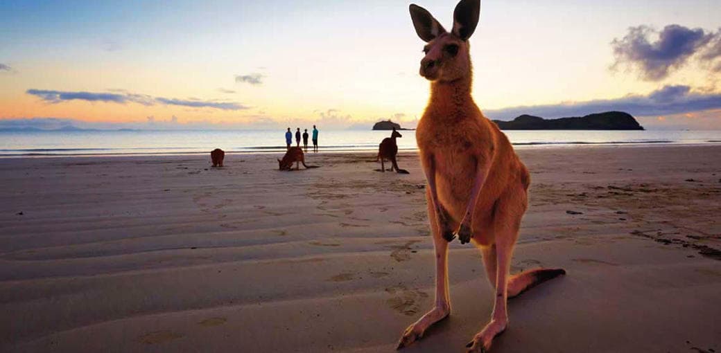 Cape Hillsborough National Park