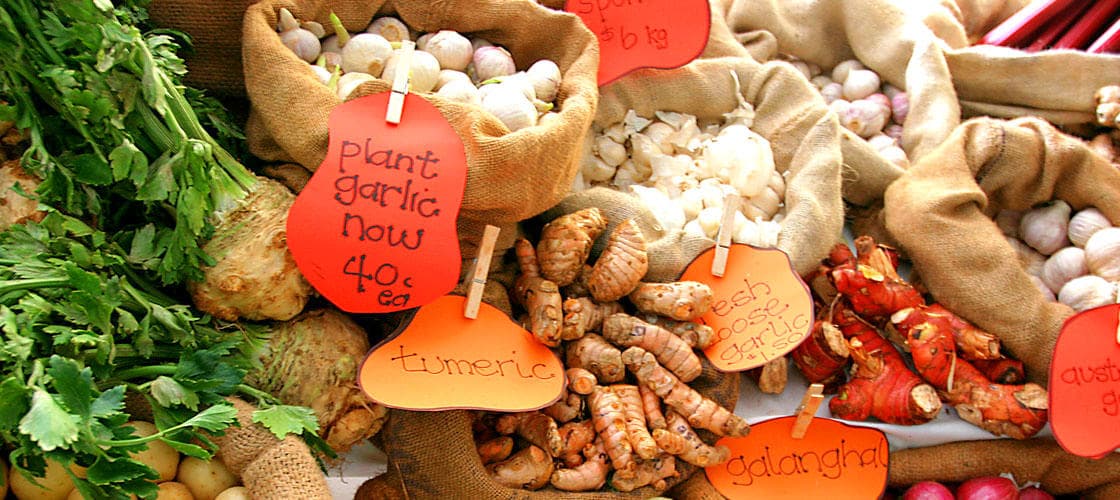 Noosa Farmers Market