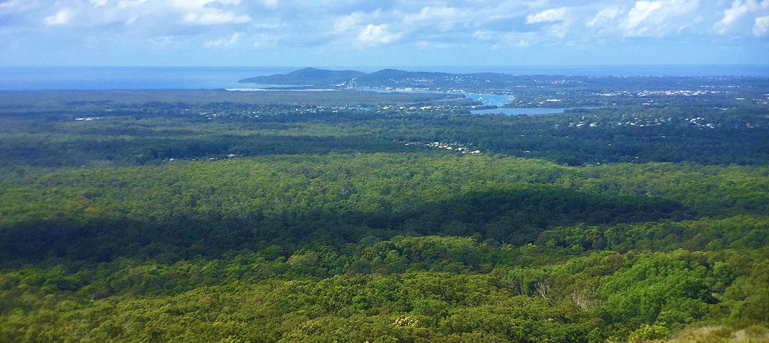 Tewantin National Park Noosa