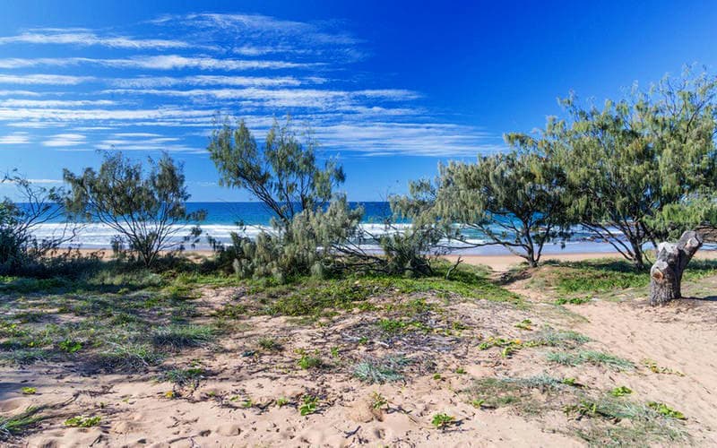 Deepwater National Park