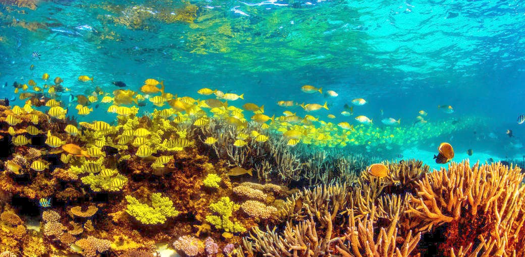 Ningaloo Coast