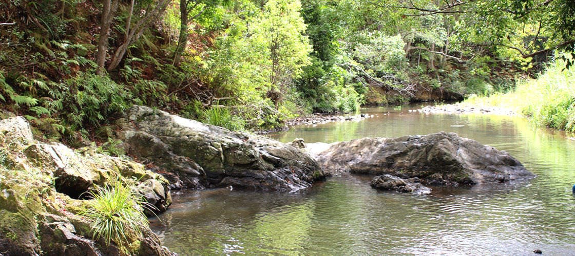 Currumbin Rock Pools