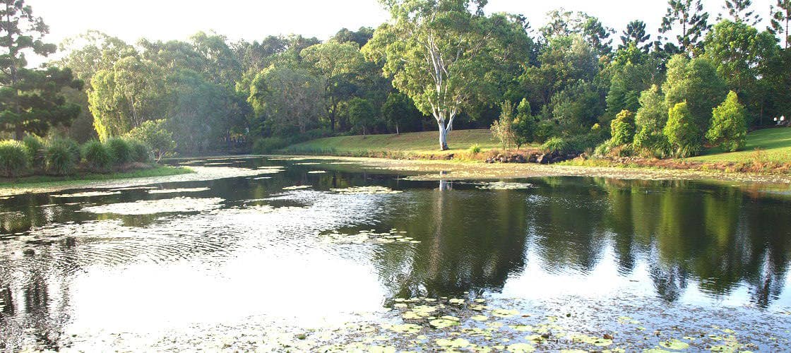 Gold Coast Regional Botanic Gardens