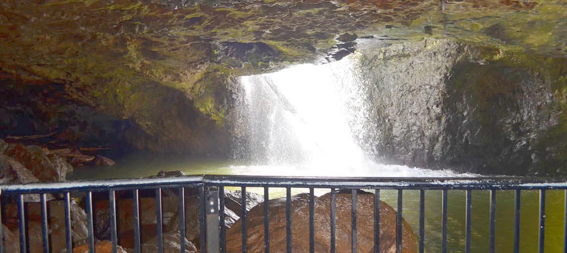 The Springbrook National Park