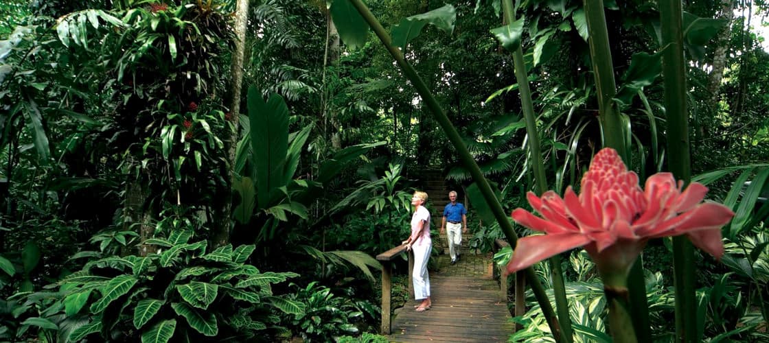 Cairns Botanic Garden