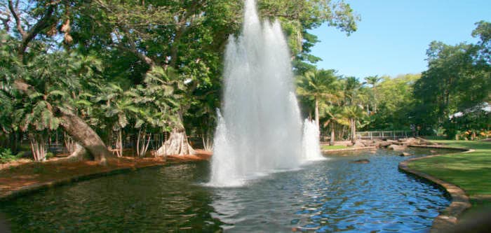 The George Brown Darwin Botanic Gardens