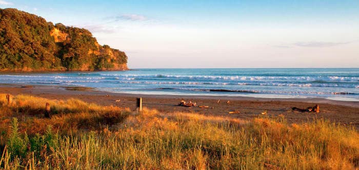 Ohope Beach