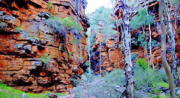 Alligator Gorge