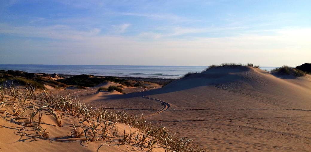 Coorong National Park