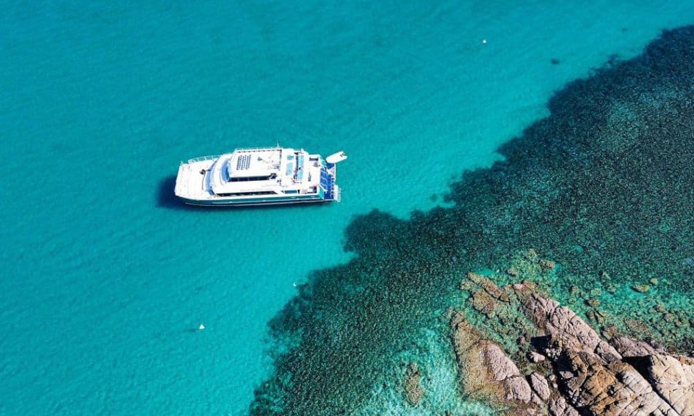 Reef & Island Cruises
