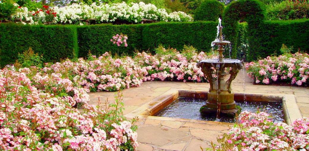 Parnell Rose Garden