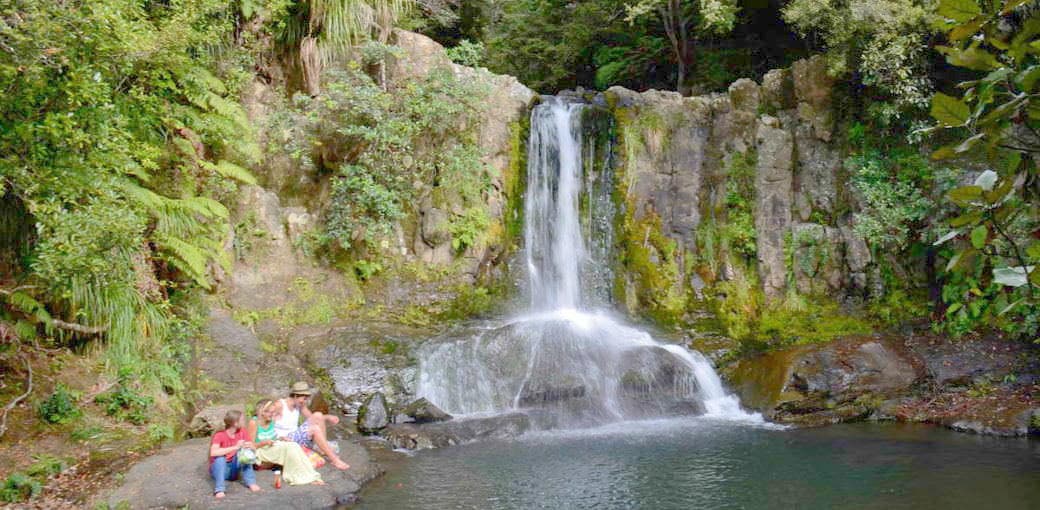Waiau Falls & Kauri Grove Lookout