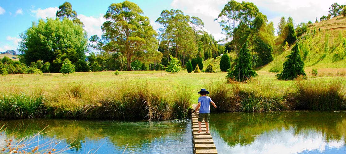 Tasmanian Arboretum